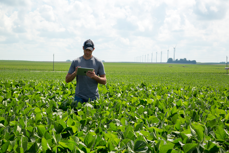I Pad Soybean Field 07 2015 09